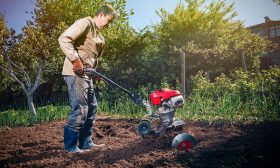 opnieuw aanleggen van je tuin