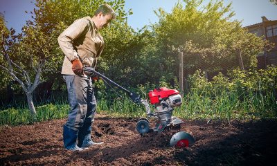 opnieuw aanleggen van je tuin