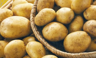 Aardappelen telen hoe doe je dat in je tuin