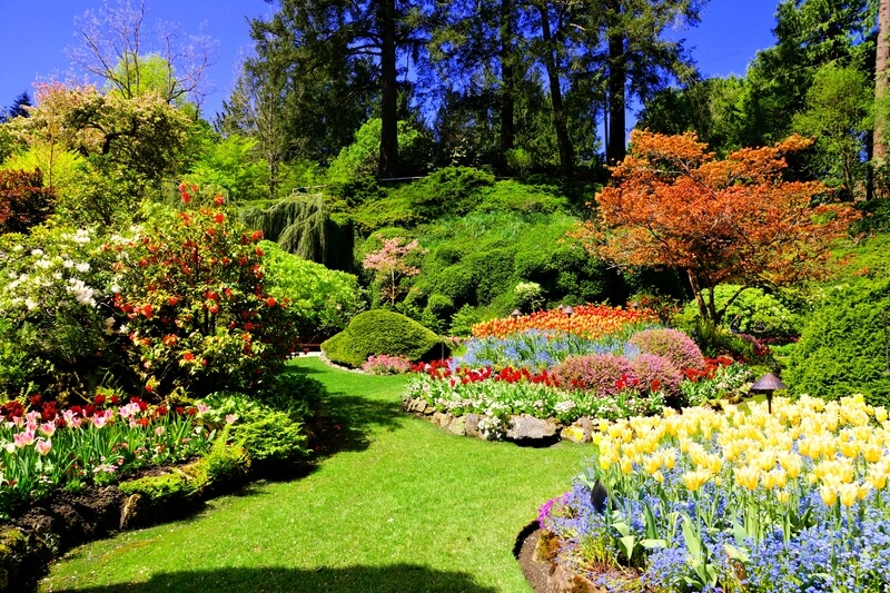 colorful garden